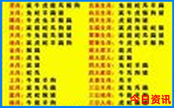 2024澳门特马今晚开奖53期